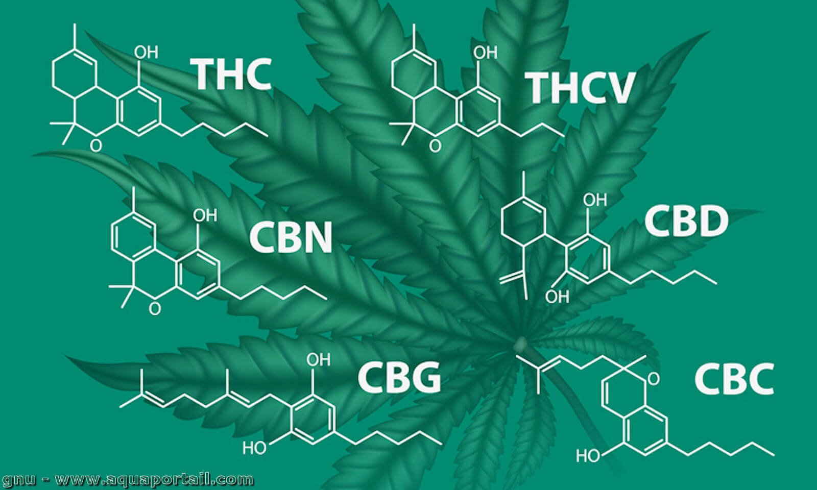Cannabinoide