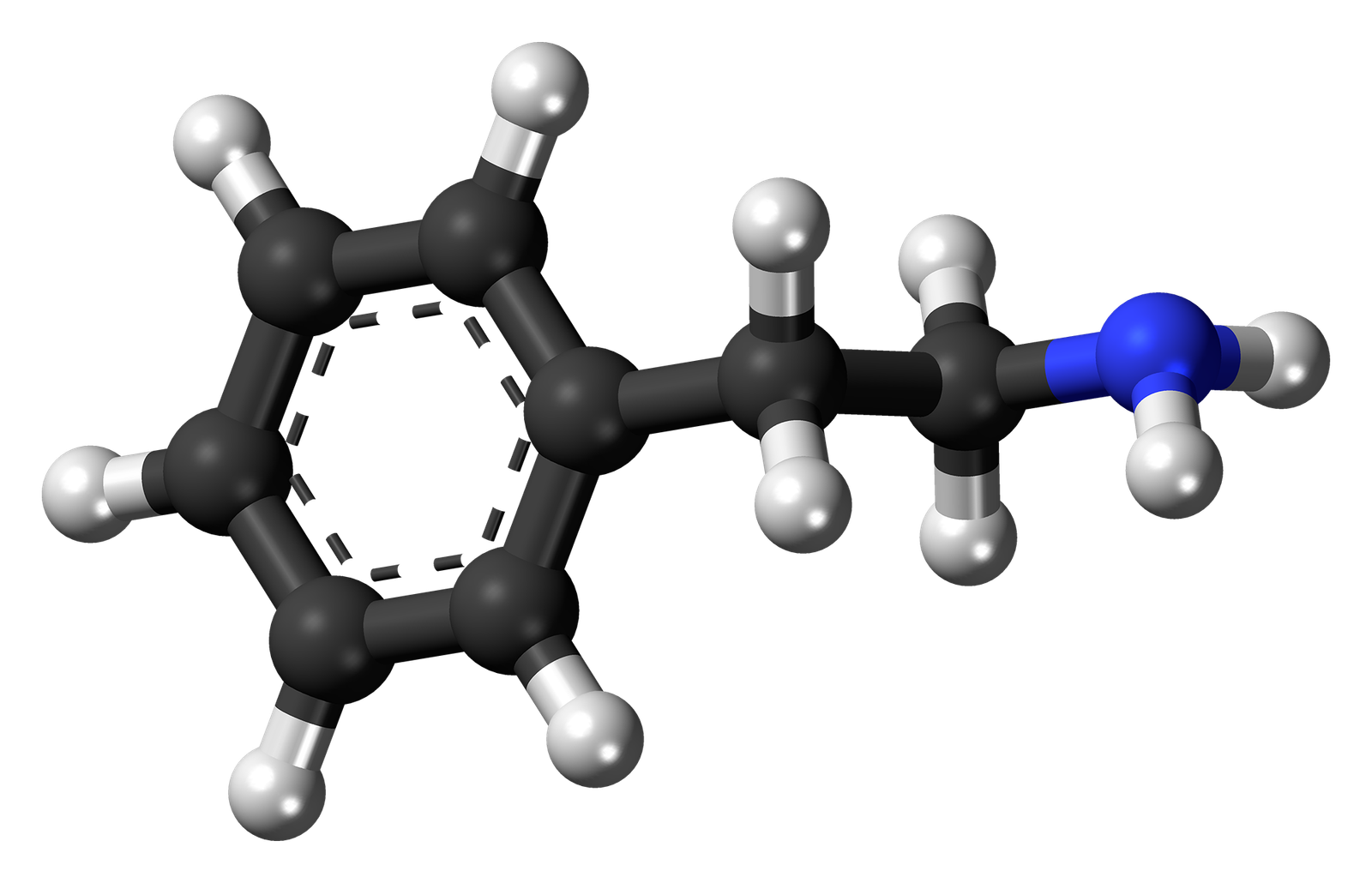 PHENYLETHYLAMINE